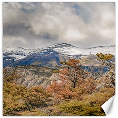 Forest And Snowy Mountains, Patagonia, Argentina Canvas 16  X 16   by dflcprints