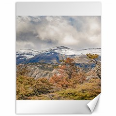 Forest And Snowy Mountains, Patagonia, Argentina Canvas 36  X 48   by dflcprints