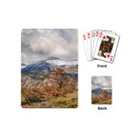 Forest And Snowy Mountains, Patagonia, Argentina Playing Cards (Mini)  Back