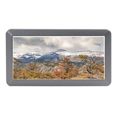 Forest And Snowy Mountains, Patagonia, Argentina Memory Card Reader (mini) by dflcprints