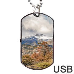 Forest And Snowy Mountains, Patagonia, Argentina Dog Tag Usb Flash (two Sides) by dflcprints