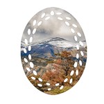 Forest And Snowy Mountains, Patagonia, Argentina Ornament (Oval Filigree) Front