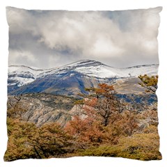 Forest And Snowy Mountains, Patagonia, Argentina Large Cushion Case (two Sides) by dflcprints