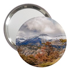 Forest And Snowy Mountains, Patagonia, Argentina 3  Handbag Mirrors by dflcprints