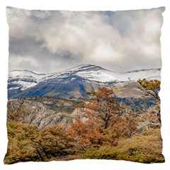 Forest And Snowy Mountains, Patagonia, Argentina Large Flano Cushion Case (two Sides) by dflcprints