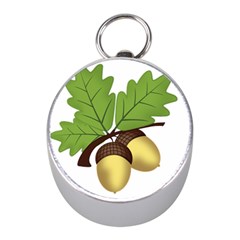 Acorn Hazelnuts Nature Forest Mini Silver Compasses by Nexatart