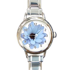 Daisy Flower Floral Plant Summer Round Italian Charm Watch by Nexatart