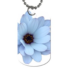 Daisy Flower Floral Plant Summer Dog Tag (two Sides) by Nexatart