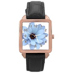 Daisy Flower Floral Plant Summer Rose Gold Leather Watch  by Nexatart