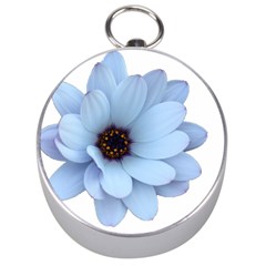 Daisy Flower Floral Plant Summer Silver Compasses