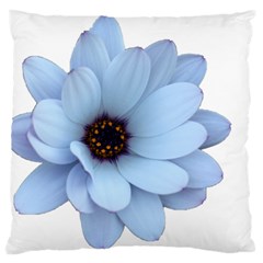 Daisy Flower Floral Plant Summer Standard Flano Cushion Case (one Side) by Nexatart