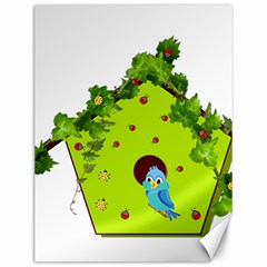 Bluebird Bird Birdhouse Avian Canvas 12  X 16  