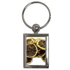 Lemon Dried Fruit Orange Isolated Key Chains (Rectangle) 