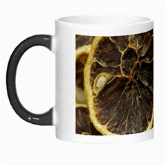 Lemon Dried Fruit Orange Isolated Morph Mugs