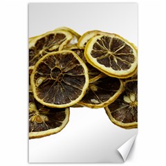 Lemon Dried Fruit Orange Isolated Canvas 12  x 18  