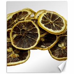 Lemon Dried Fruit Orange Isolated Canvas 20  x 24  