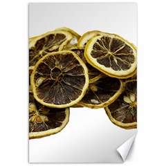 Lemon Dried Fruit Orange Isolated Canvas 20  X 30   by Nexatart