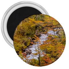 Colored Forest Landscape Scene, Patagonia   Argentina 3  Magnets by dflcprints