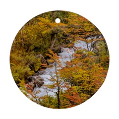 Colored Forest Landscape Scene, Patagonia   Argentina Ornament (round) by dflcprints