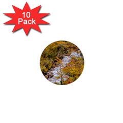 Colored Forest Landscape Scene, Patagonia   Argentina 1  Mini Buttons (10 Pack)  by dflcprints