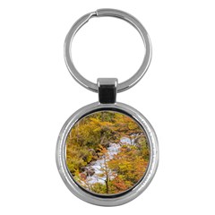 Colored Forest Landscape Scene, Patagonia   Argentina Key Chains (round) 