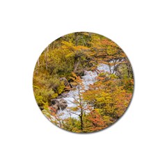 Colored Forest Landscape Scene, Patagonia   Argentina Magnet 3  (round) by dflcprints