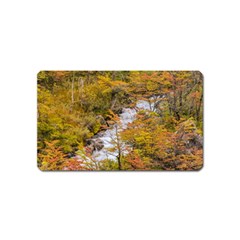 Colored Forest Landscape Scene, Patagonia   Argentina Magnet (name Card) by dflcprints