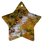 Colored Forest Landscape Scene, Patagonia   Argentina Star Ornament (Two Sides) Back