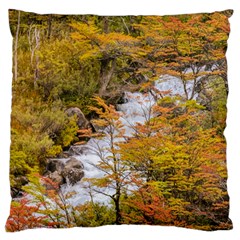 Colored Forest Landscape Scene, Patagonia   Argentina Large Cushion Case (two Sides) by dflcprints