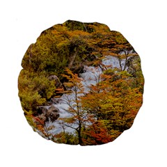 Colored Forest Landscape Scene, Patagonia   Argentina Standard 15  Premium Round Cushions by dflcprints