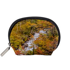 Colored Forest Landscape Scene, Patagonia   Argentina Accessory Pouches (small)  by dflcprints