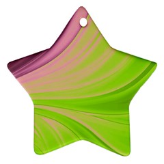 Colors Star Ornament (two Sides) by ValentinaDesign