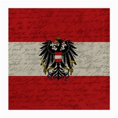 Vintage Flag - Austria Medium Glasses Cloth