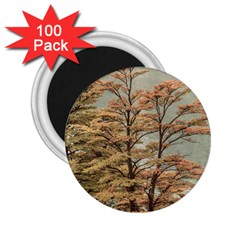 Landscape Scene Colored Trees At Glacier Lake  Patagonia Argentina 2 25  Magnets (100 Pack) 