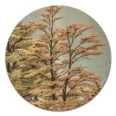 Landscape Scene Colored Trees At Glacier Lake  Patagonia Argentina Magnet 5  (round) by dflcprints
