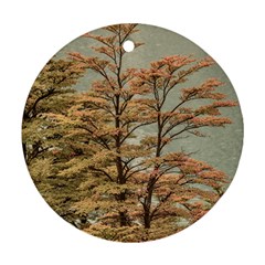 Landscape Scene Colored Trees At Glacier Lake  Patagonia Argentina Round Ornament (two Sides) by dflcprints