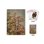 Landscape Scene Colored Trees At Glacier Lake  Patagonia Argentina Playing Cards (Mini)  Back