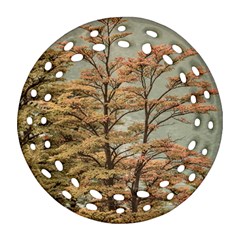 Landscape Scene Colored Trees At Glacier Lake  Patagonia Argentina Round Filigree Ornament (two Sides) by dflcprints