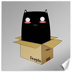 Black Cat In A Box Canvas 12  X 12   by Catifornia