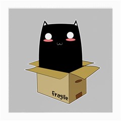 Black Cat In A Box Medium Glasses Cloth (2-side) by Catifornia