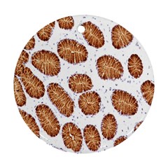 Formalin Paraffin Human Stomach Stained Bacteria Brown Round Ornament (two Sides) by Mariart