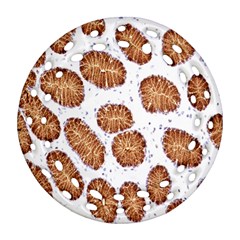 Formalin Paraffin Human Stomach Stained Bacteria Brown Ornament (round Filigree)