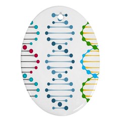 Genetic Dna Blood Flow Cells Ornament (oval)