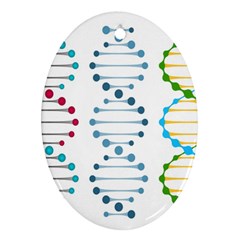 Genetic Dna Blood Flow Cells Oval Ornament (two Sides) by Mariart