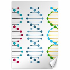 Genetic Dna Blood Flow Cells Canvas 12  X 18  