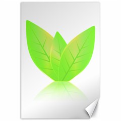 Leaves Green Nature Reflection Canvas 20  X 30   by Nexatart