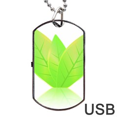 Leaves Green Nature Reflection Dog Tag Usb Flash (one Side) by Nexatart