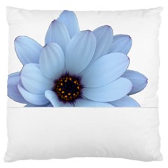 Daisy Flower Floral Plant Summer Large Flano Cushion Case (two Sides)