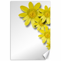 Flowers Spring Yellow Spring Onion Canvas 20  X 30   by Nexatart