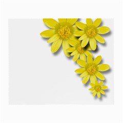 Flowers Spring Yellow Spring Onion Small Glasses Cloth (2-side) by Nexatart